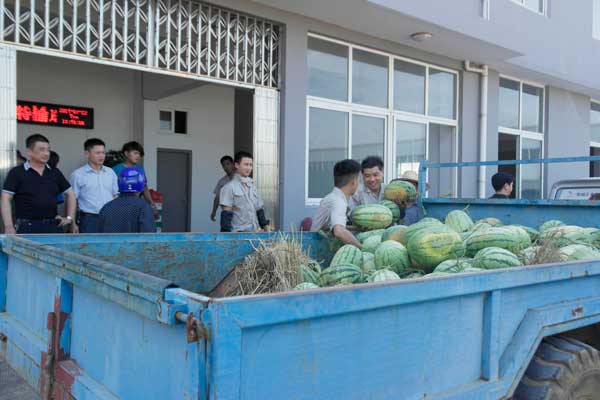 怎樣根據不同需要選擇合適的物料提升機型號？